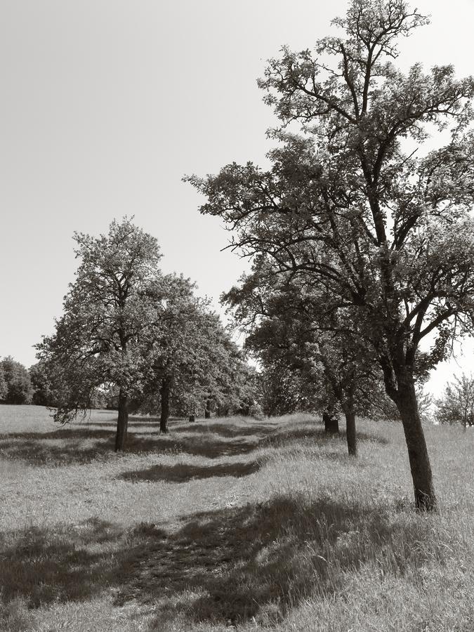 Seegasthof Franz Bolz Gbr Ellwangen Luaran gambar