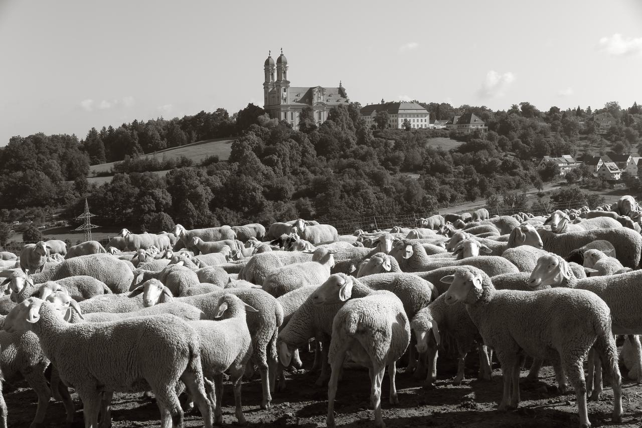 Seegasthof Franz Bolz Gbr Ellwangen Luaran gambar